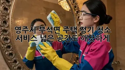 영주시 부석면 주택 정기 청소 서비스: 넓은 공간도 깨끗하게!
